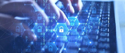 網(wǎng)絡(luò)技術(shù)服務(wù)市場的規(guī)模與機(jī)遇